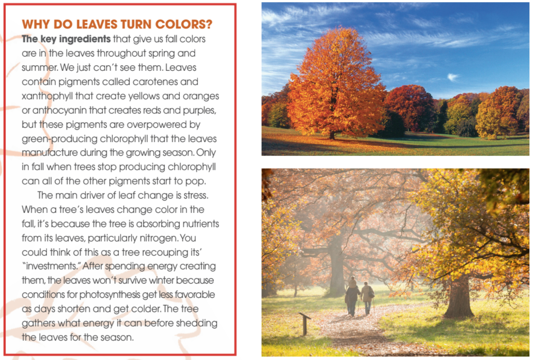 Fall Colors 5